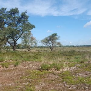 Liefdevolle momenten te midden van heide en vennen