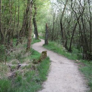 Tussen heide en horizon