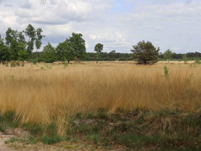 Ruimte voor romantiek